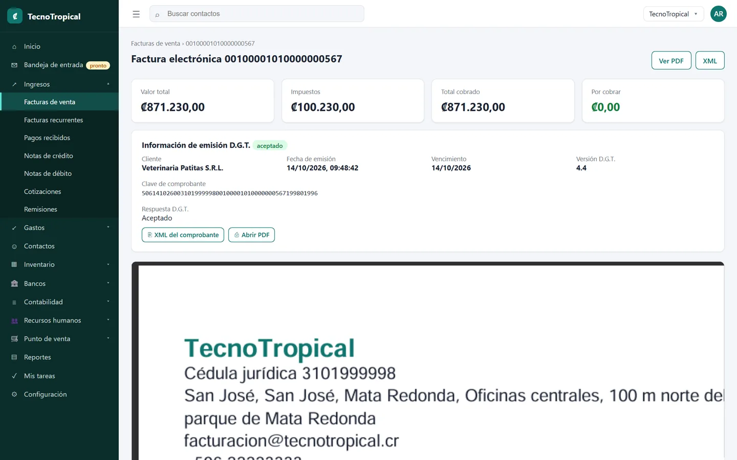 Detalle de una factura electrónica aceptada con su PDF